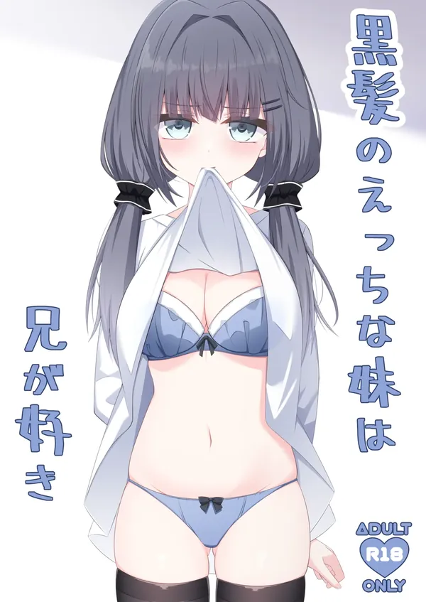 黒髪のえっちな妹は兄が好き 表紙
